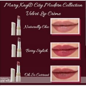 Discontinued Velvet Mary Kay lipstick.